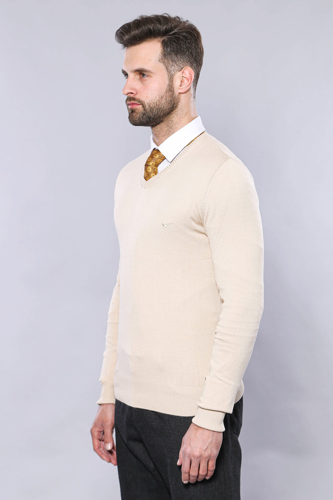 Slim Fit V Neck Long Sleeve Beige Men Knitwear