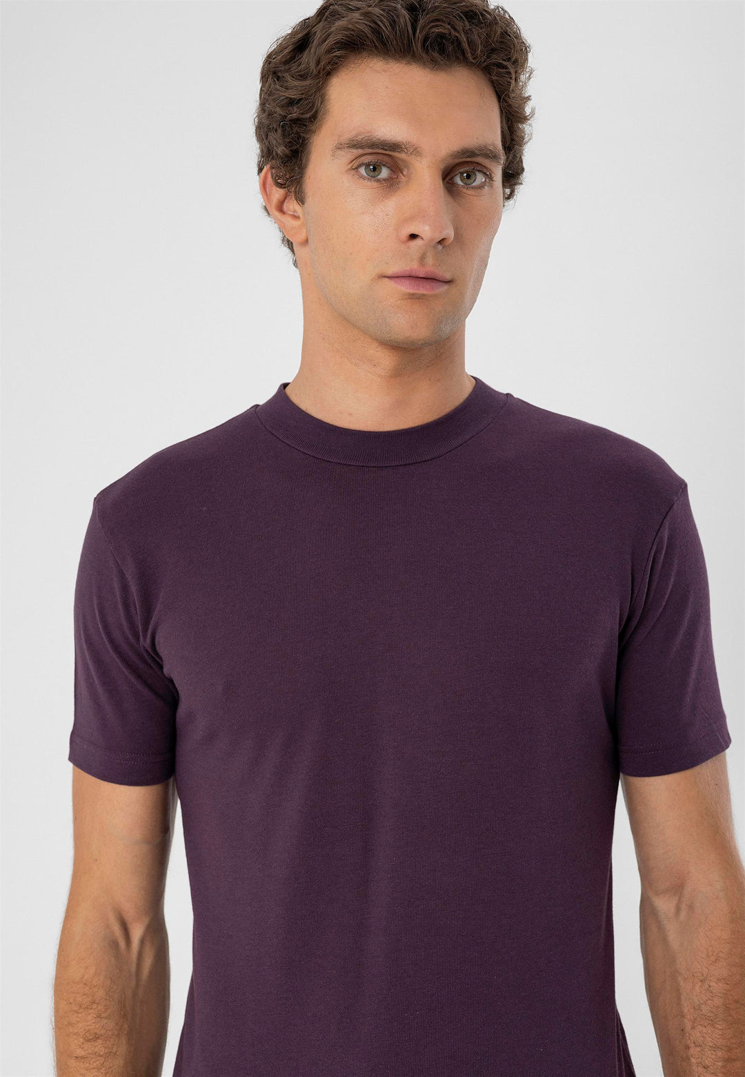 T-Shirt Slim Fit Col Rond Damson Homme - Wessi