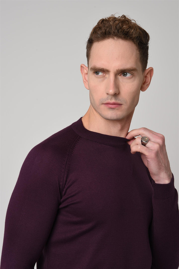 Pull en tricot coupe ajustée à col rond Damson pour hommes - Wessi