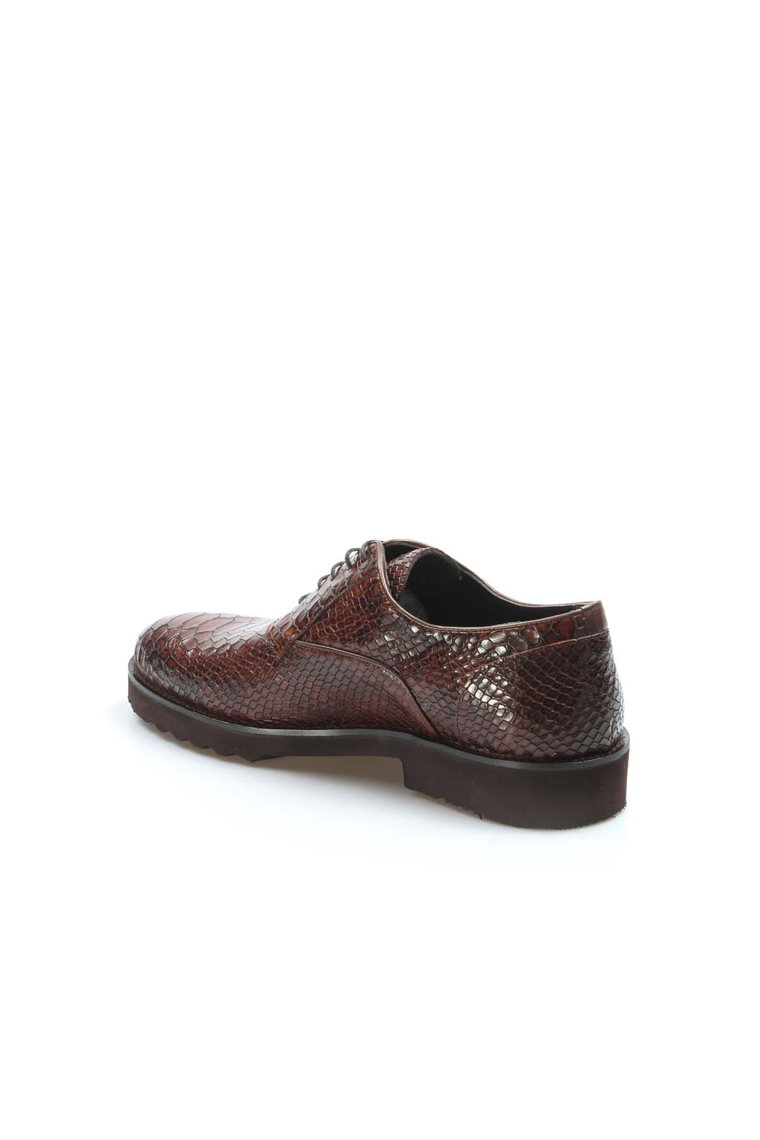 Brown Snake-Print Derby Shoes-Wessi