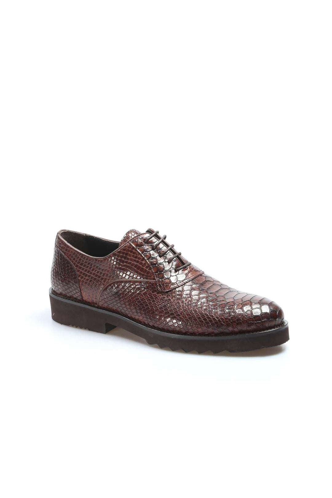 Brown Snake-Print Derby Shoes-Wessi