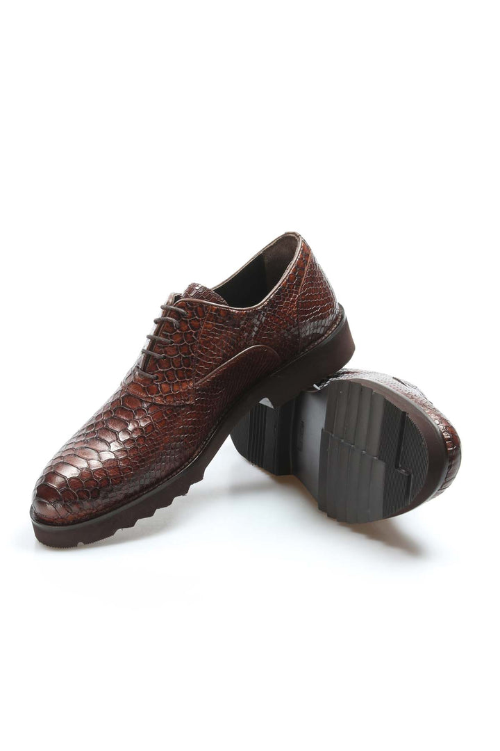 Brown Snake-Print Derby Shoes-Wessi