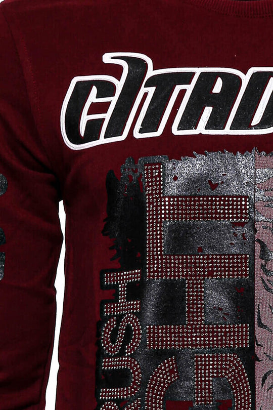 Felpa da uomo marrone slim fit fantasia - Wessi