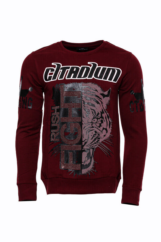 Felpa da uomo marrone slim fit fantasia - Wessi